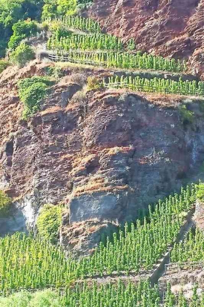 Erdener Treppchen Riesling trocken weiss 2020 75cL